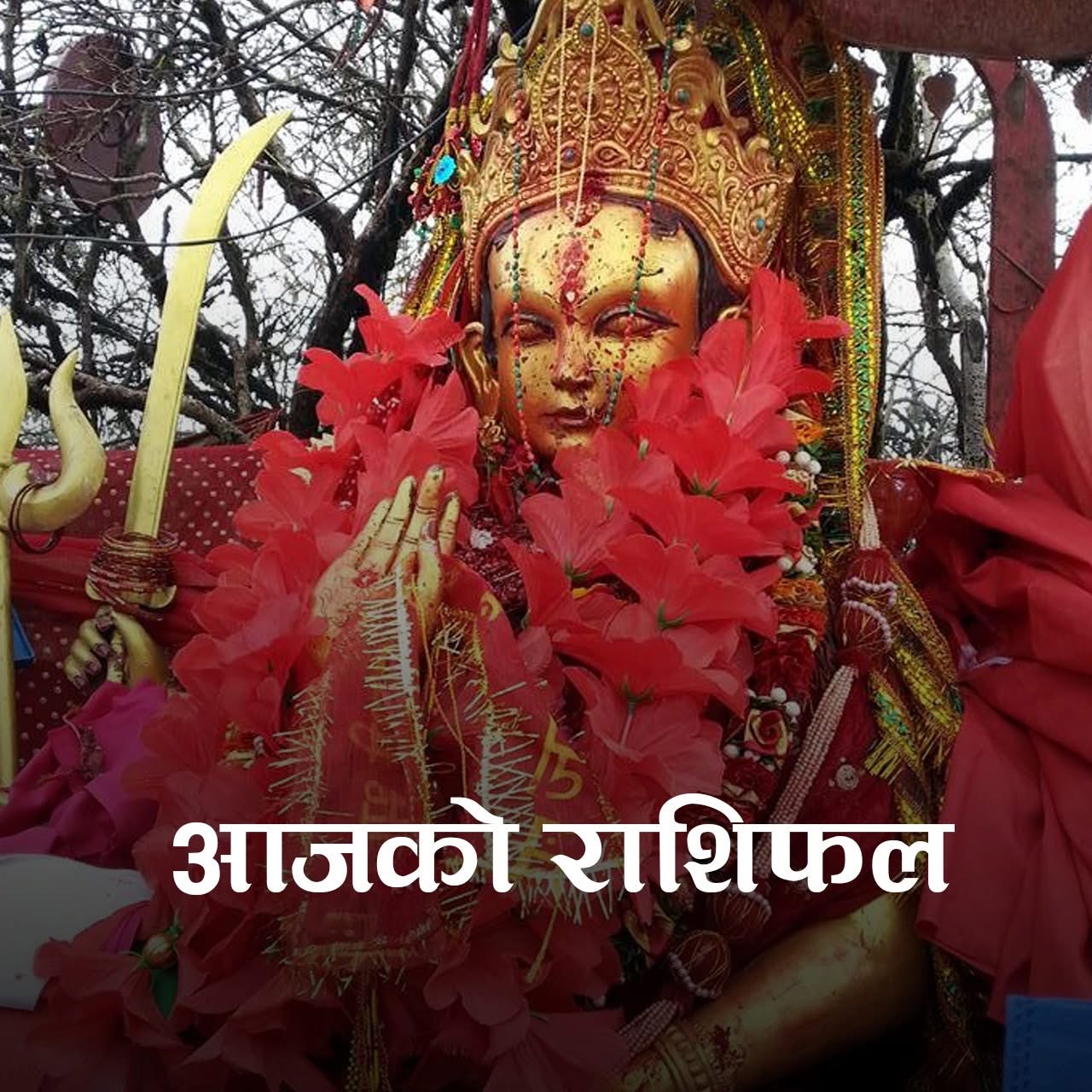 कस्तो रहला तपाईँको आजको दिन ? हेर्नुहोस् राशिफल ज्योतिषी  भवेश 🌺